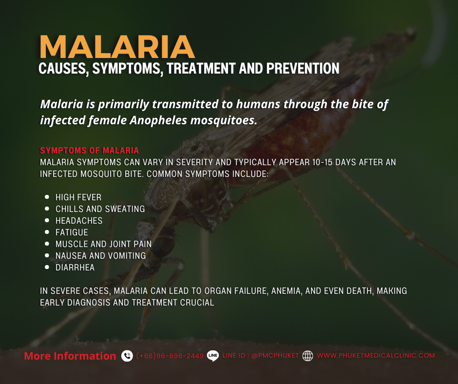 Malaria Causes, Symptoms, Treatment and Prevention